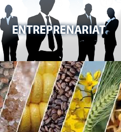 entreprenariat