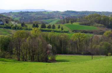 Panorama Jadar